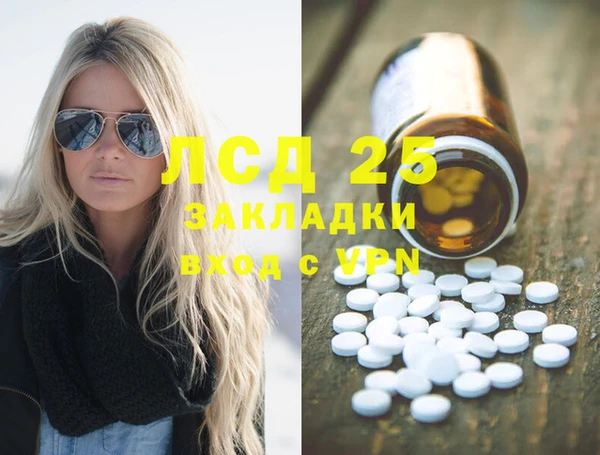 ГАЛЛЮЦИНОГЕННЫЕ ГРИБЫ Абаза