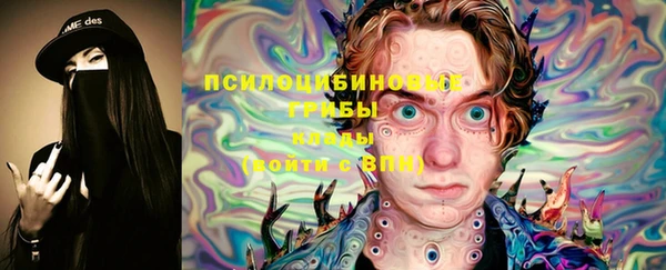 ГАЛЛЮЦИНОГЕННЫЕ ГРИБЫ Абаза