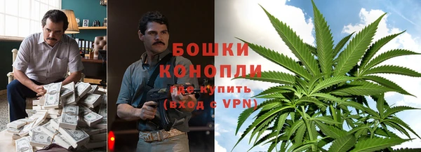 молекула духа Алзамай