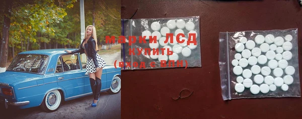 ГАЛЛЮЦИНОГЕННЫЕ ГРИБЫ Абаза