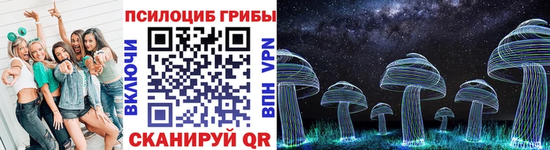 Галлюциногенные грибы Psilocybe  наркота  Назрань 