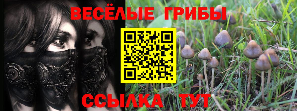 Галлюциногенные грибы Magic Shrooms Назрань