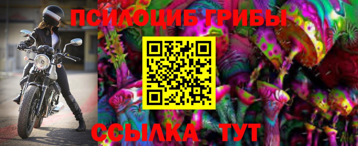 как найти наркотики  Псилоцибиновые грибы MAGIC MUSHROOMS  Вход с VPN  Назрань 